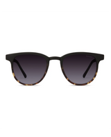 Francis Matte Black/Tortoise