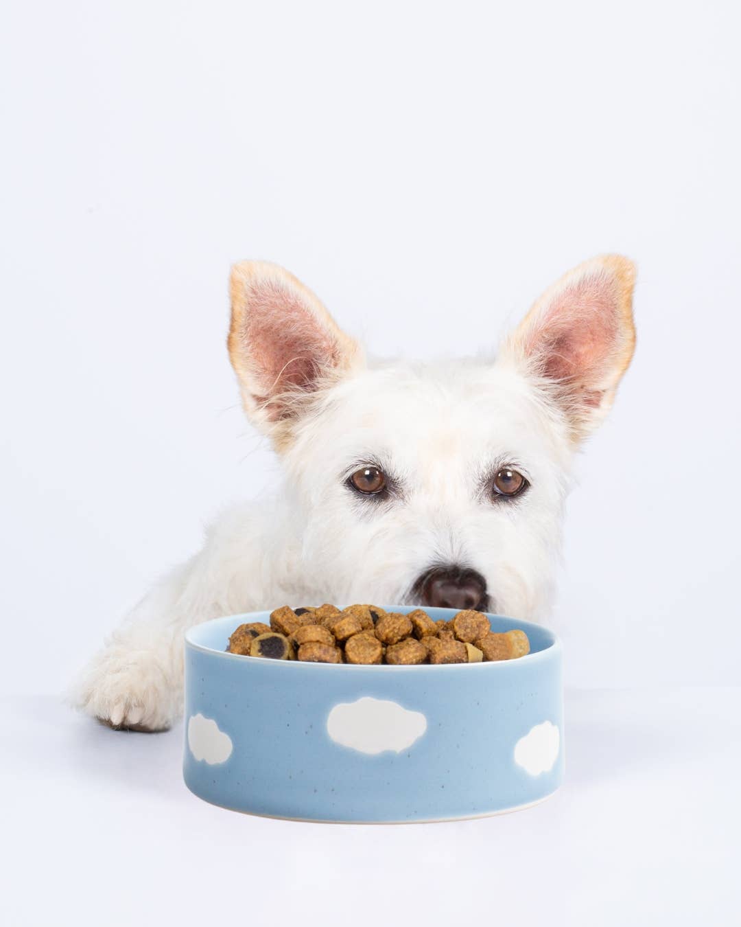 Cloud Pet Bowl