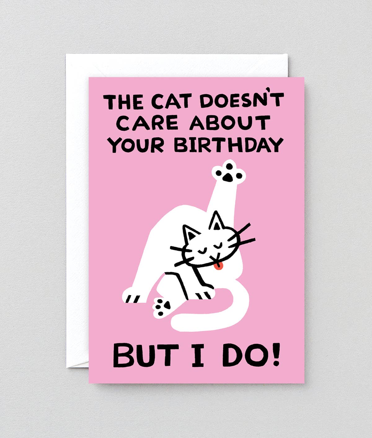 ‘The Cat Doesn’t Care’ Greetings Card
