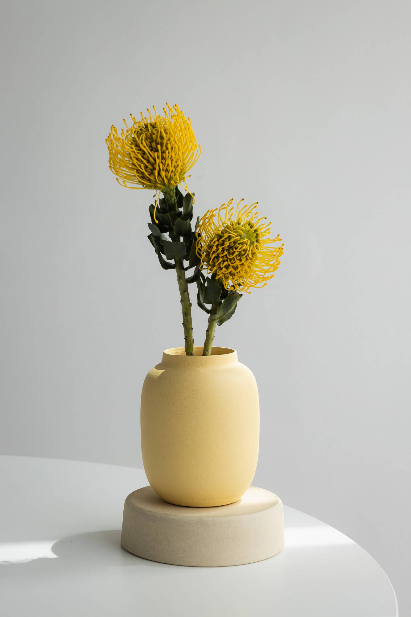 Blanc 04 - Butter Yellow Vase - Perfect for dried flowers