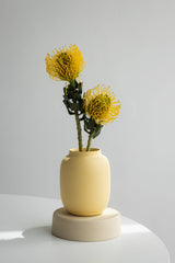 Blanc 04 - Butter Yellow Vase - Perfect for dried flowers