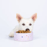New Party Pet Bowl 14cm Lilac