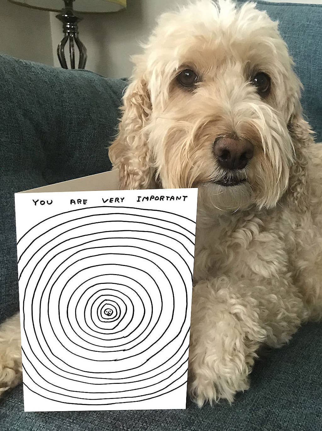 Lustige David Shrigley Grußkarte mit der Aufschrift „You Are Very Important“
