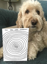 Lustige David Shrigley Grußkarte mit der Aufschrift „You Are Very Important“