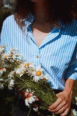 CARVI SHIRT Blue Stripes