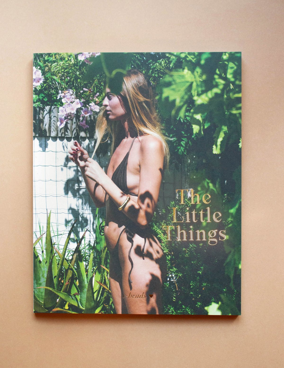 C-Heads Magazin #39