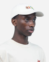 Six Panel Pictures Cap