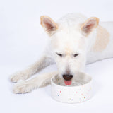 New Party Pet Bowl 14cm