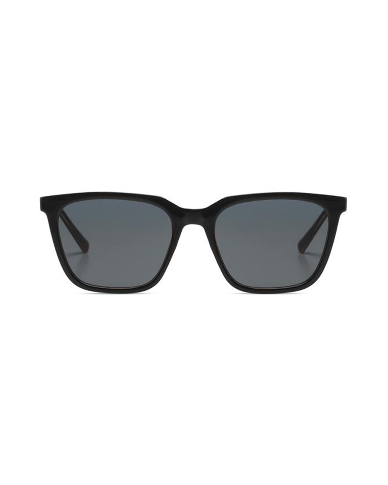 Jay Black Tortoise