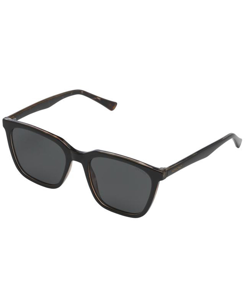 Jay Black Tortoise